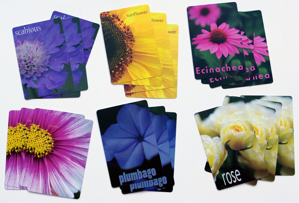Flower Snap cards 300dpi